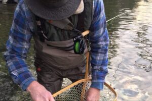 how society benefits from downtime that helps with creativity.