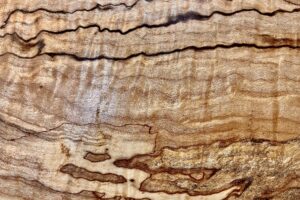 🌿 How to Know if Your Furniture Is Truly Sustainable