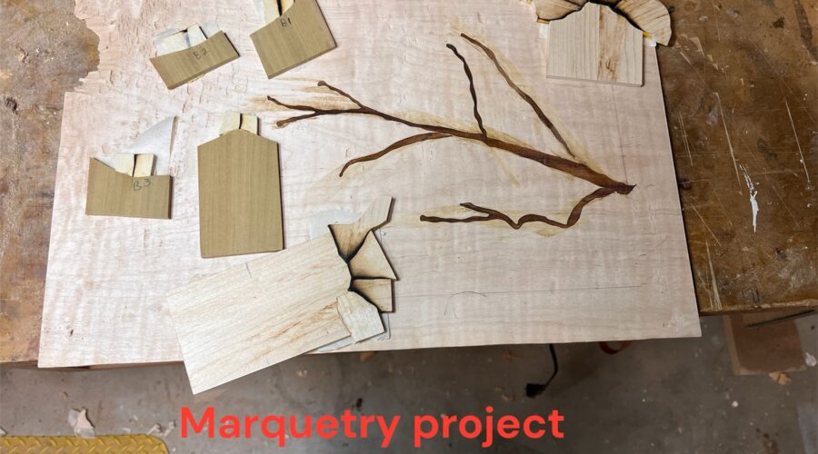 New marquetry project in motion