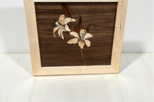 Photoroom 20251209 064304 1.webp