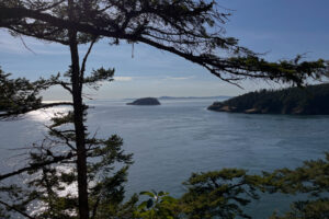 5EDDC269 B4E8 4B67 9C9B E0C327515C80