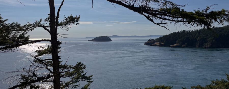 5EDDC269 B4E8 4B67 9C9B E0C327515C80