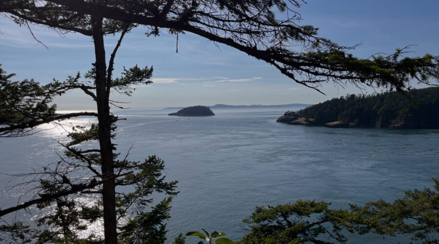 5EDDC269 B4E8 4B67 9C9B E0C327515C80